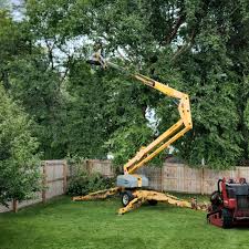 How Our Tree Care Process Works  in Vicksburg, MS